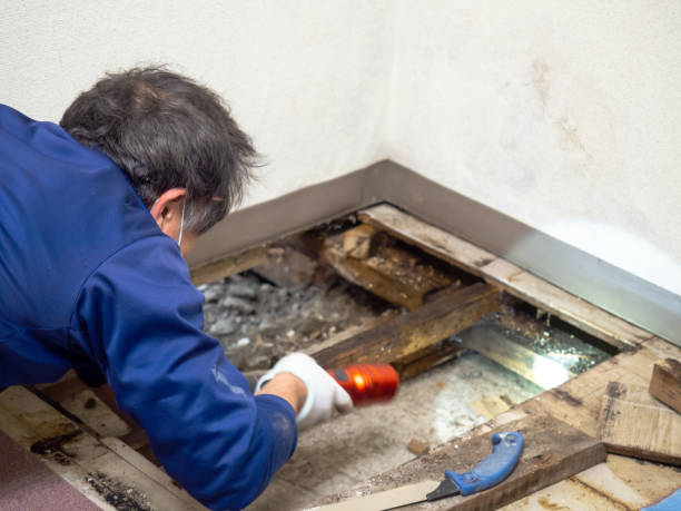 Best Industrial Mold Remediation in Pymatuning Central, PA