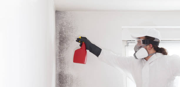 Best Health and Safety Mold Remediation in Pymatuning Central, PA