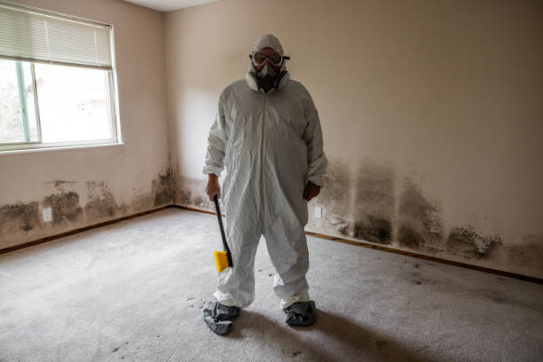 Best Basement Mold Remediation in Pymatuning Central, PA