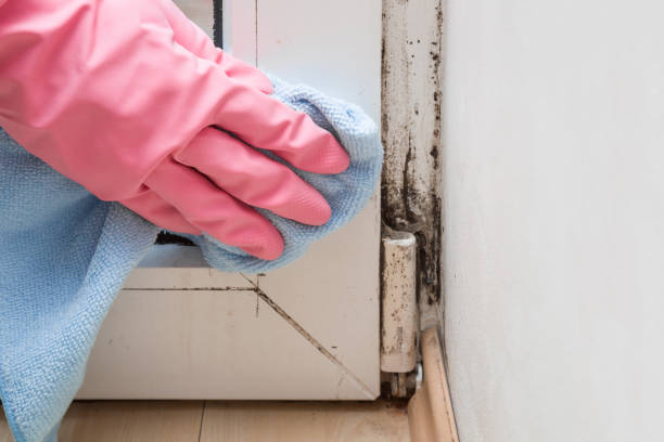 Best Attic Mold Remediation in Pymatuning Central, PA