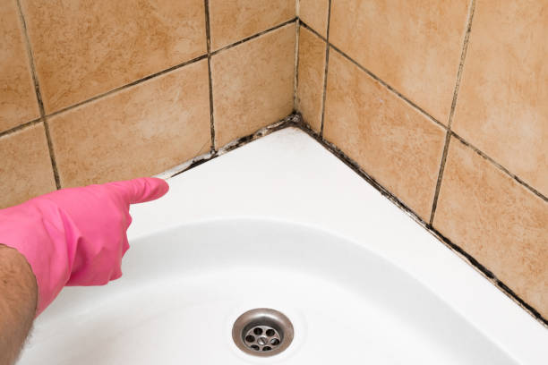 Best Crawl Space Mold Remediation in Pymatuning Central, PA